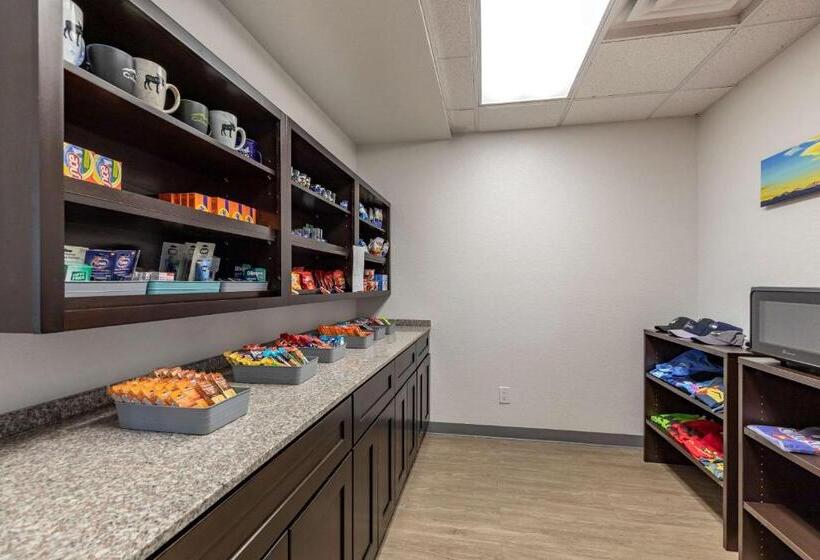 فندق Comfort Inn & Suites Bennett