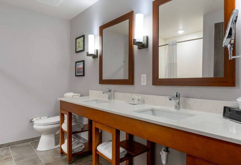 בית מלון כפרי Comfort Suites