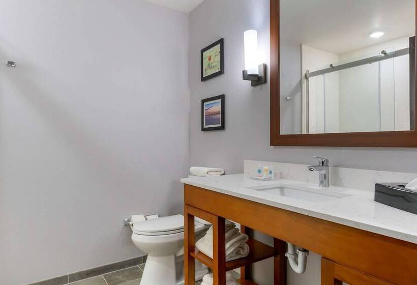 בית מלון כפרי Comfort Suites