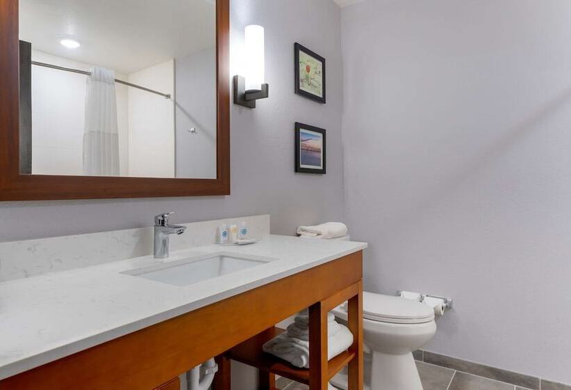 בית מלון כפרי Comfort Suites