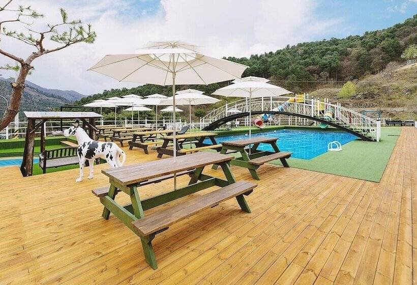 בית מלון כפרי Gapyeong Gaboja Pension