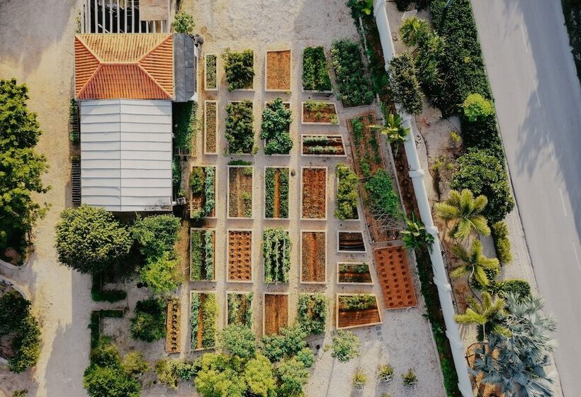 호텔 Le Soleil D Or Caymanbrac