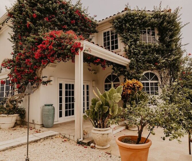 호텔 Le Soleil D Or Caymanbrac