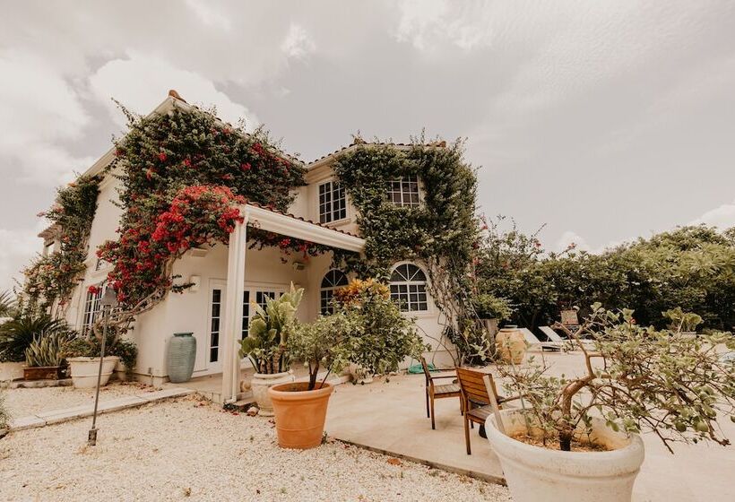 호텔 Le Soleil D Or Caymanbrac