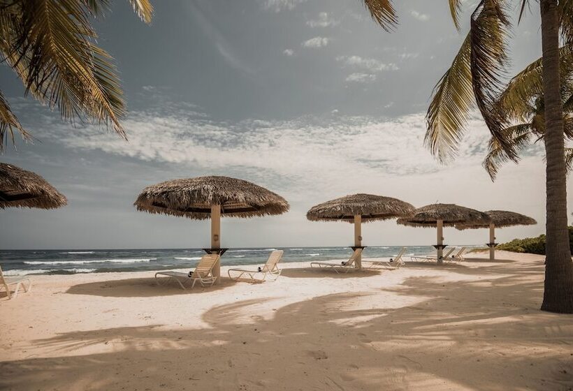 호텔 Le Soleil D Or Caymanbrac