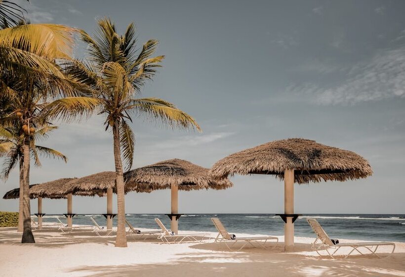 호텔 Le Soleil D Or Caymanbrac