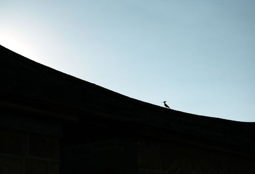 هتل Live Guesthouse