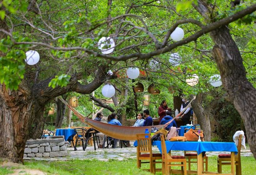 Отель Organic Village Retreat