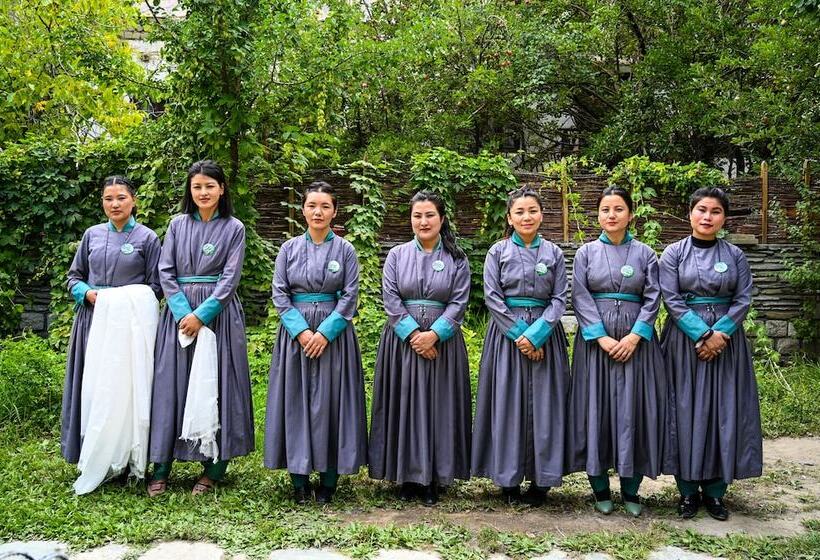 Отель Organic Village Retreat