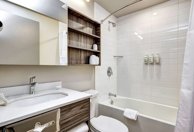 Microtel Inn & Suites By Wyndham Kanata Ottawa West