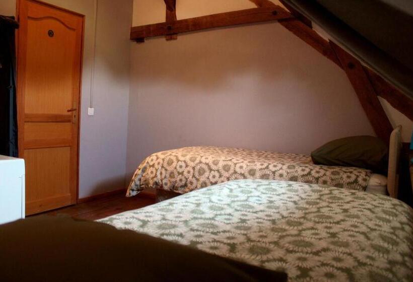 The Alpaca B&b