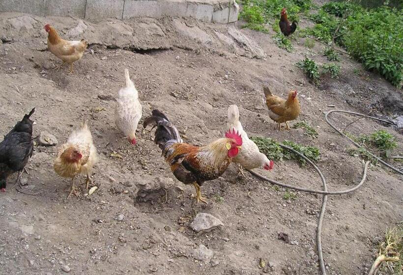 Alojamientos Rurales Benarum Con Spa