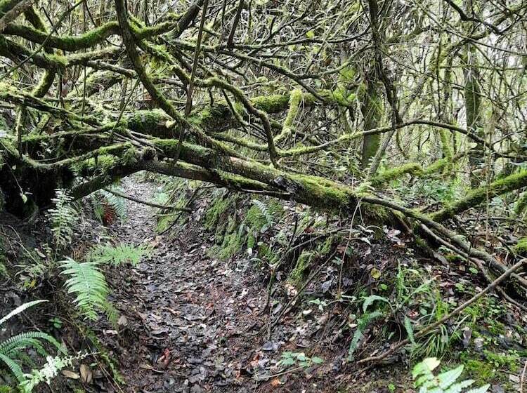 Отель Balcon Al Cotopaxi Hosteria