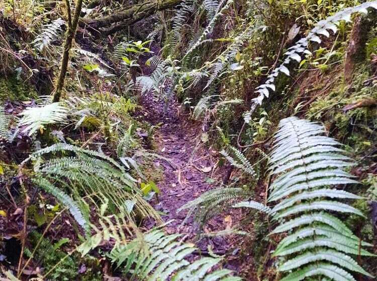 Отель Balcon Al Cotopaxi Hosteria
