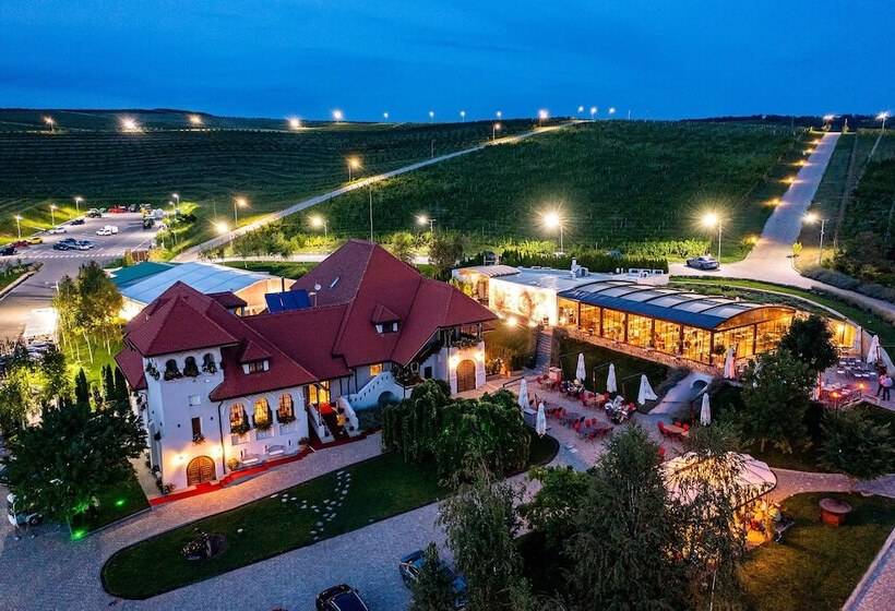 酒店 Casa Timis Wellness & Spa Resort