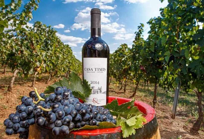 酒店 Casa Timis Wellness & Spa Resort