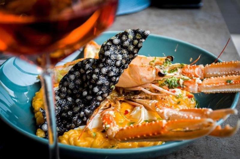 酒店 Casa Timis Wellness & Spa Resort