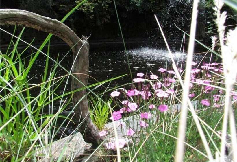 هتل Christchurch City & Country Cottages   Nut Point Cottage