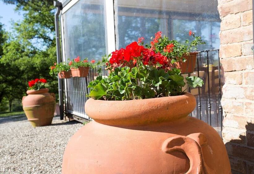 בית מלון כפרי Agriturismo San Galgano