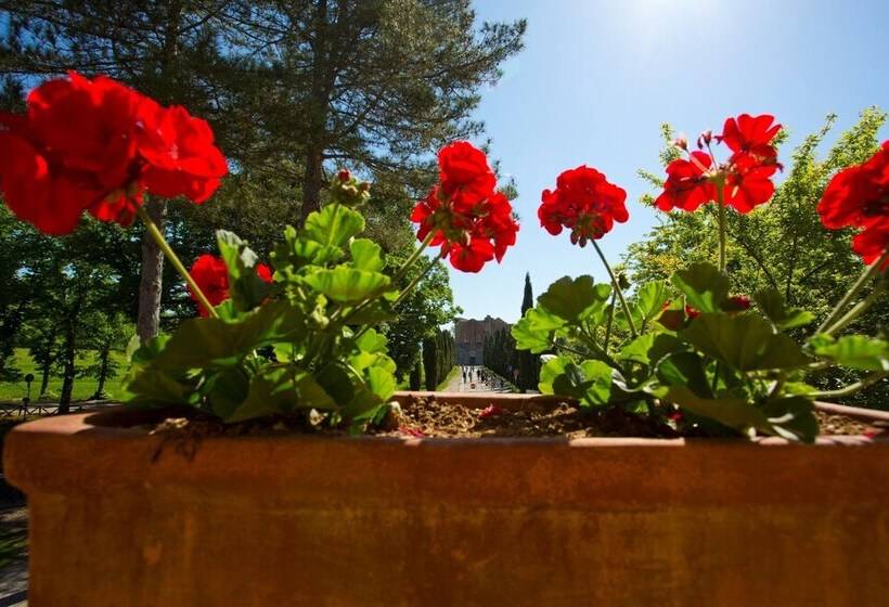 בית מלון כפרי Agriturismo San Galgano