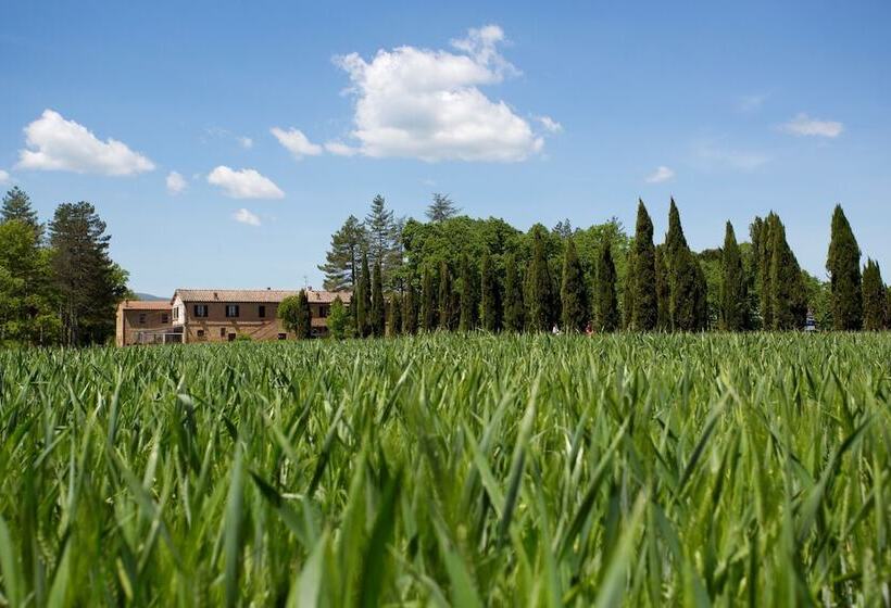 בית מלון כפרי Agriturismo San Galgano