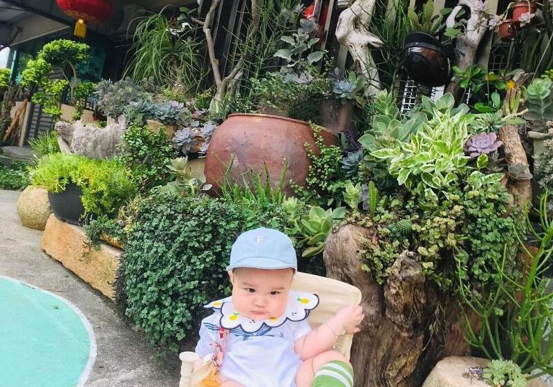 هتل Tai Chia Bed And Breakfast