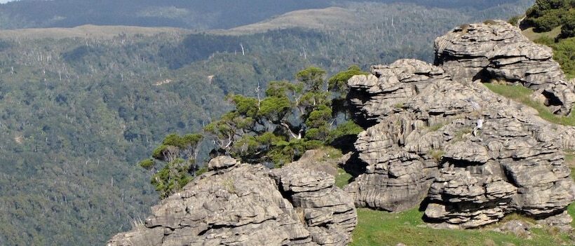 בית מלון כפרי Westhaven Retreat