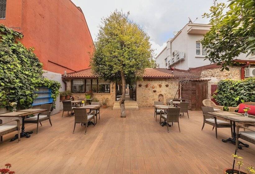 هتل Zemira Garden