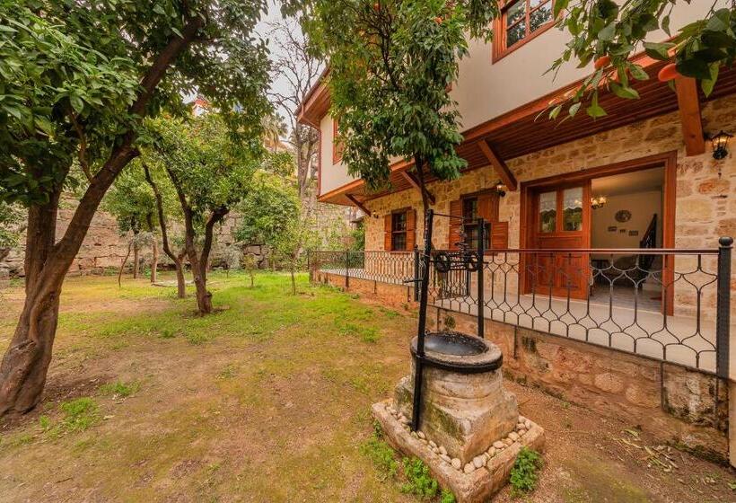 هتل Zemira Garden