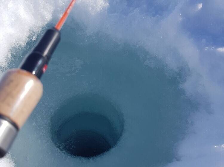 بنسيون Heggelis