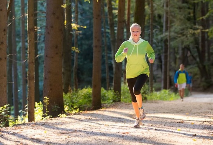 Vingsted Hotel & Konferencecenter