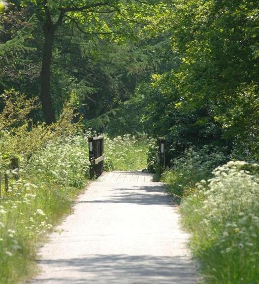 Vingsted Hotel & Konferencecenter