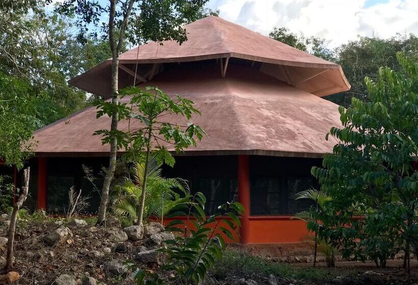 Eco Hotel Nueva Altia