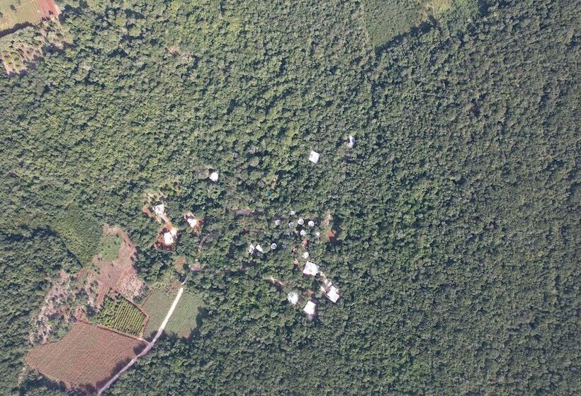 Eco Hotel Nueva Altia