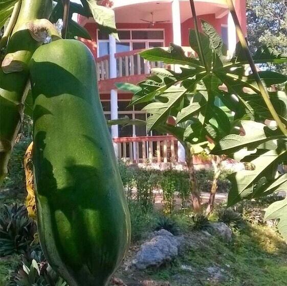 Eco Hotel Nueva Altia