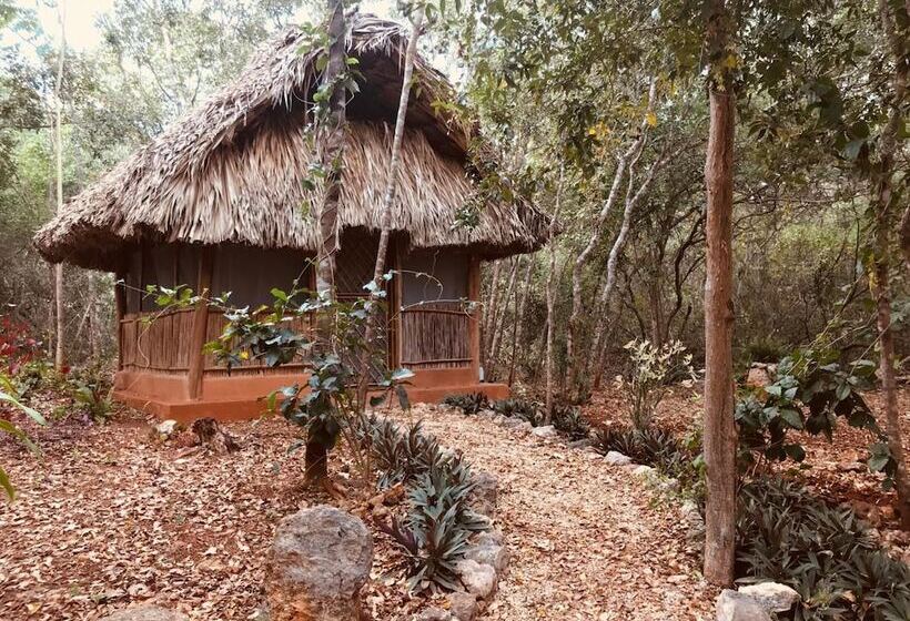 Eco Hotel Nueva Altia