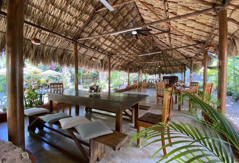 Eco Hotel Nueva Altia