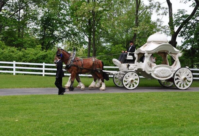 בית מלון כפרי Allegan Country Inn