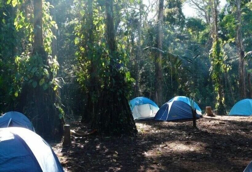 هتل Alto Tambopata Lodge & Campsite