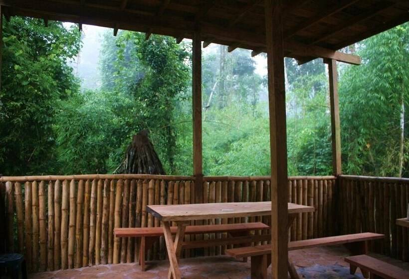هتل Alto Tambopata Lodge & Campsite