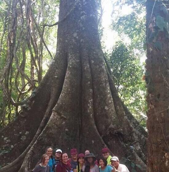 هتل Amazon Lodge Tambopata