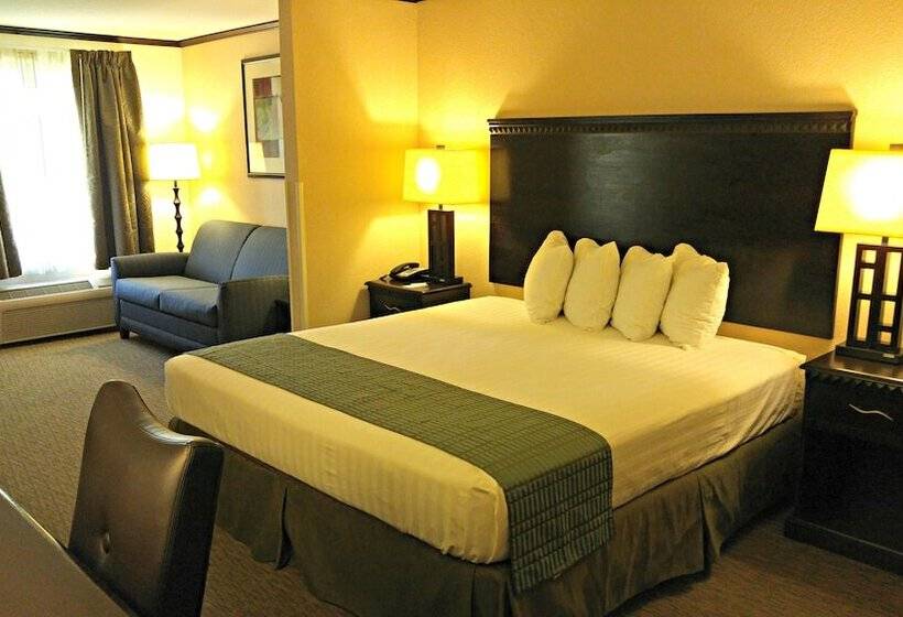 فندق Cochran Inn & Suites