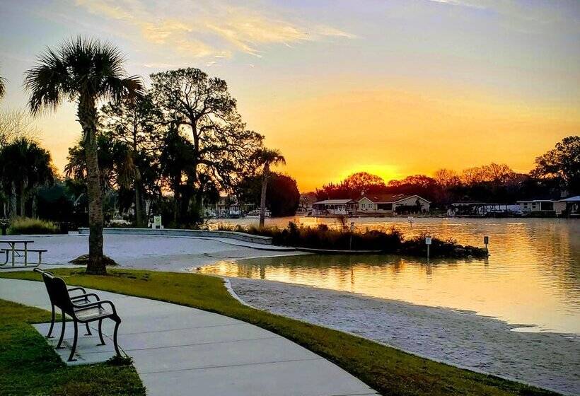فندق King S Bay Lodge