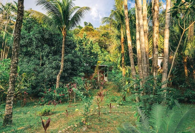 هتل Huingos Eco Lodge