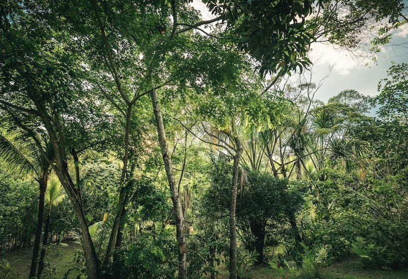 هتل Huingos Eco Lodge