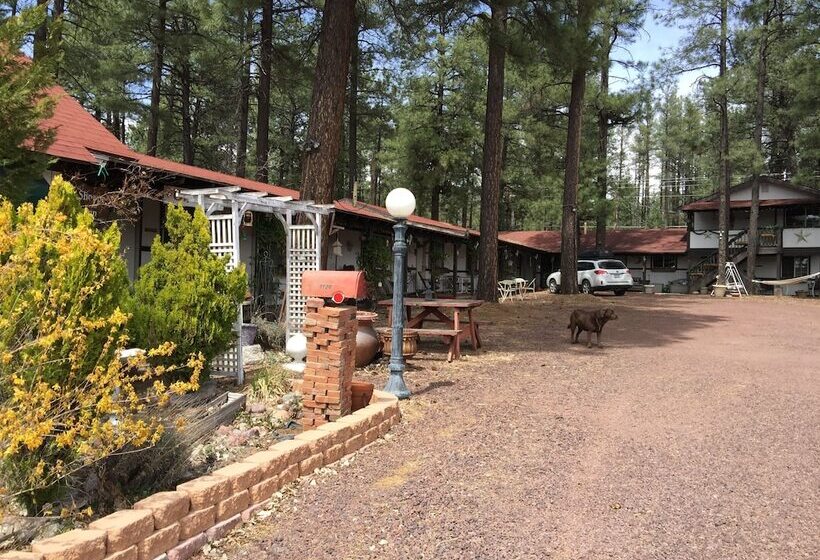 호텔 Mountain Haven Inn