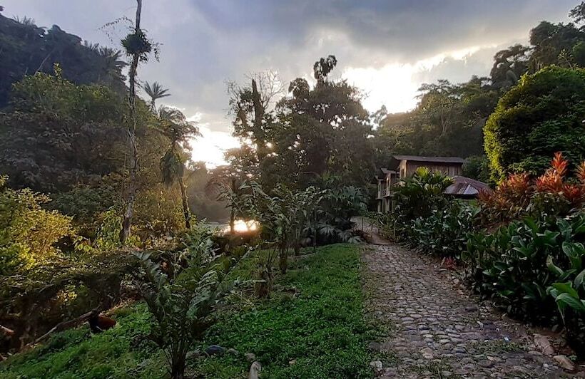 هتل Playa Selva Lodge