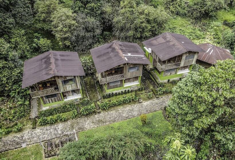 هتل Playa Selva Lodge