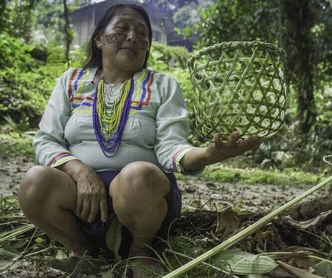 هتل Playa Selva Lodge