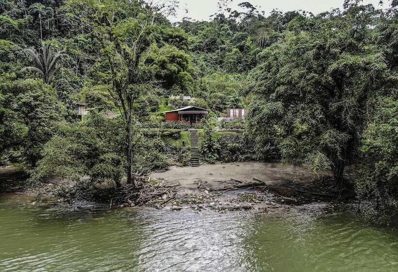 هتل Playa Selva Lodge